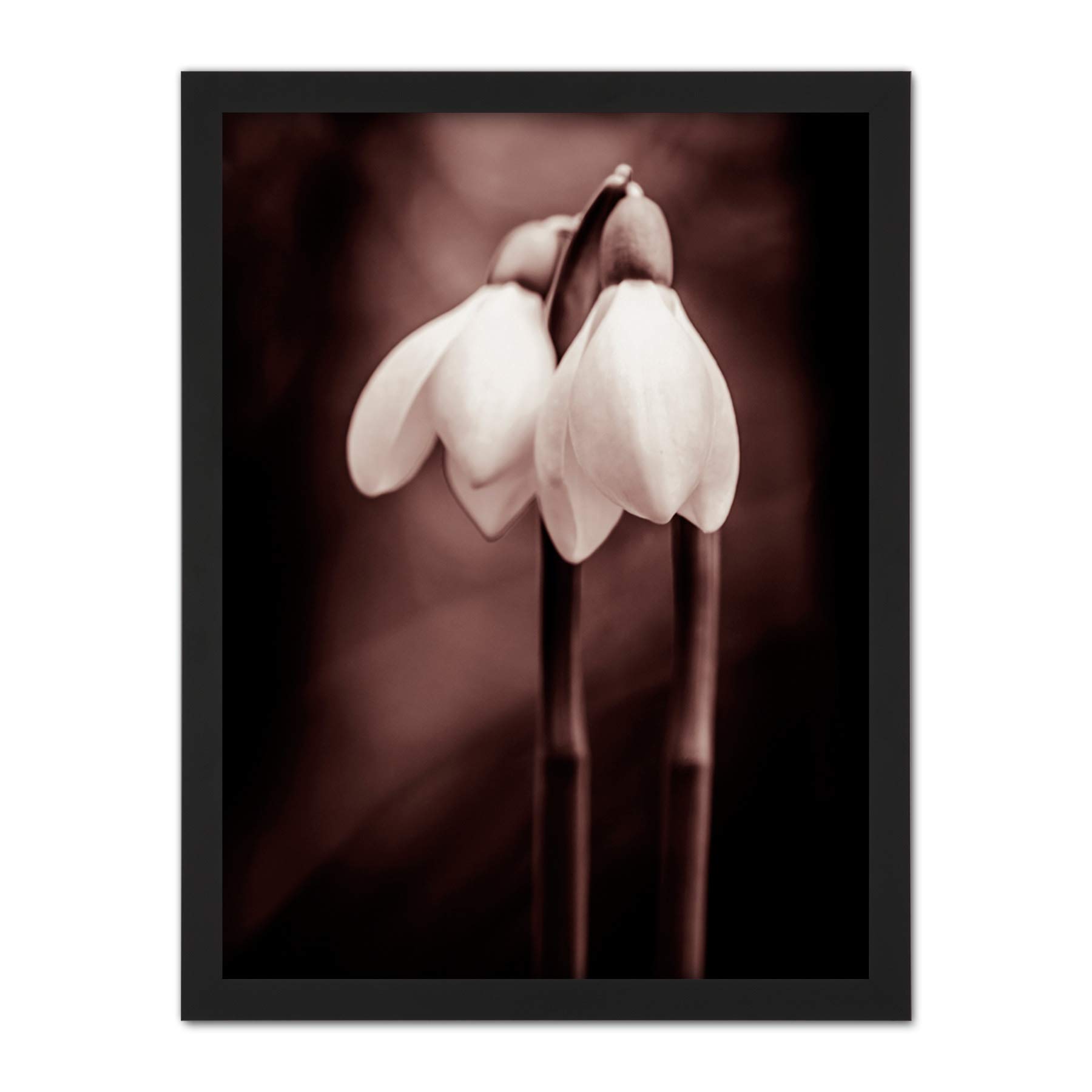 Wee Blue Coo Two Snowdrops Flowers Artwork Framed Wall Art Print 18X24 Inch