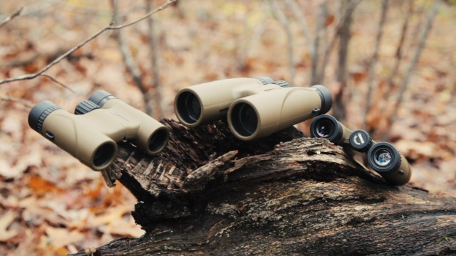Amazon.com: Carson Stinger 12x32mm Compact and Lightweight