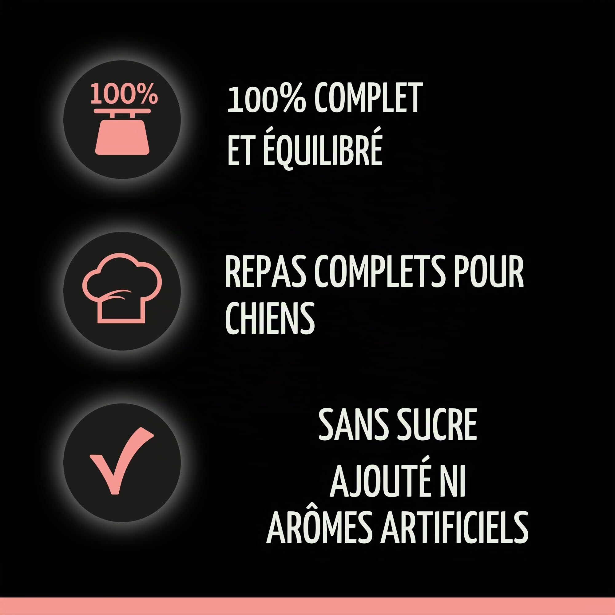 Cesar Nourriture Humide pour Chien Adulte Sélection en Sauce - 48 sachets - 12 x 100 g (Lot de 4) - Nourriture équilibrée de qualité supérieure pour Chien - Choix avec bœuf, Poulet, Agneau et Dinde
