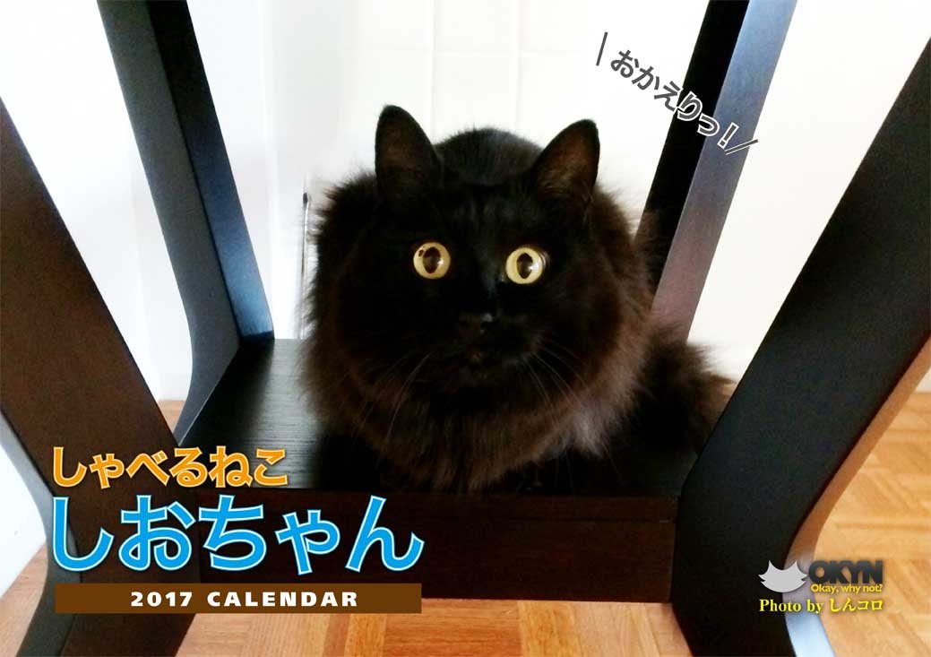 Amazon Co Jp しゃべるねこ しおちゃん 17カレンダー しゃべるねこ しおちゃんカレンダー しんコロ 文房具 オフィス用品