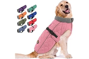 Winter Dog Coats: Warm Comfort for Your Canine Companion