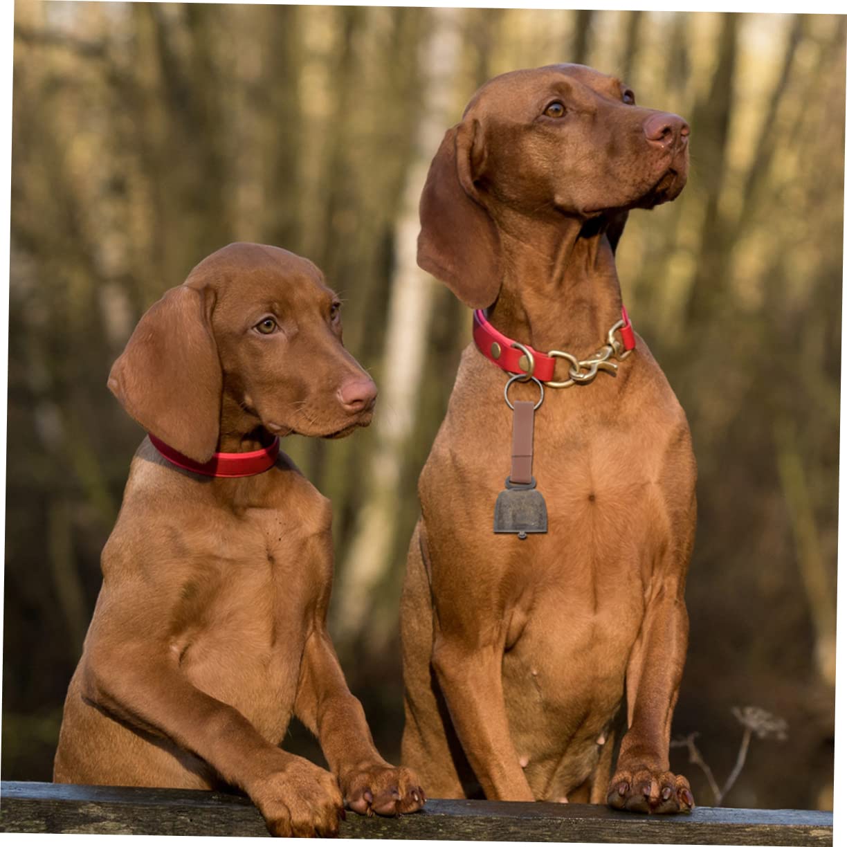 SUPVOX 18piezas Campana De Cobre Para Mascotas Sonido y Fuerte Accesorio Antipérdida Para Senderismo y Camping Para Decoración y Manualidades