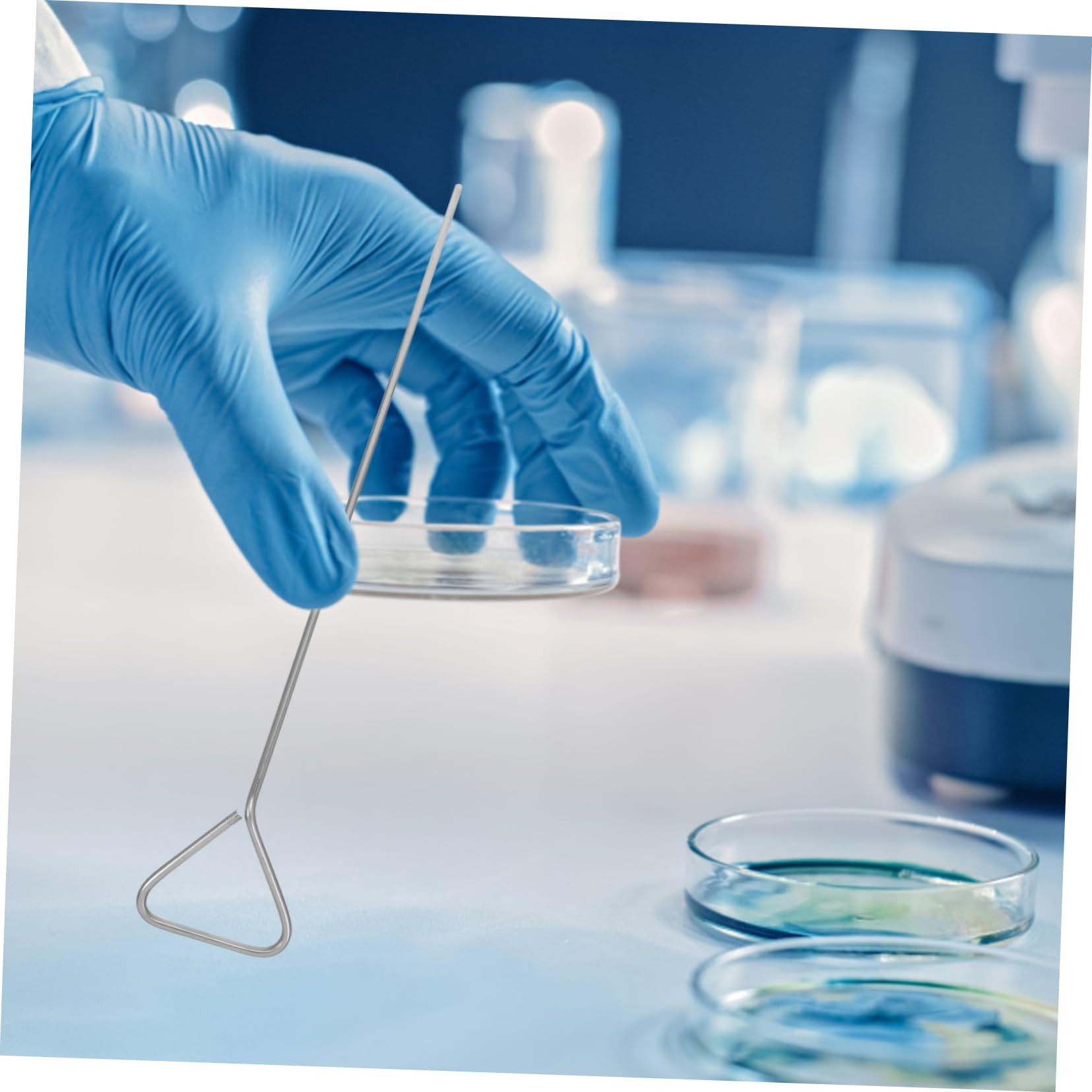 Gatuida 6pz Raschietti Triangolari in Acciaio Inossidabile per Piastre Petri, Diffusori Precisi ed Efficienti per Applicazioni di Laboratorio Scientifico