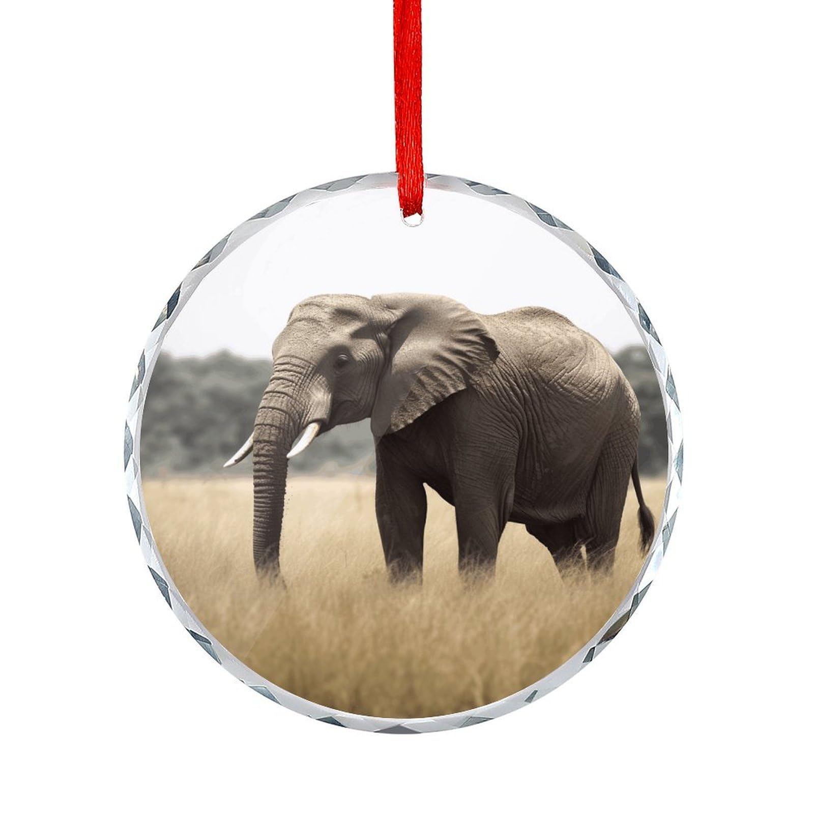 Fodpand Women's Style Elephant Round Glass Ornament Keepsake Gift Exchange Ideas Car Decor,Christmas Ornaments For Tree Window Garden Ornaments