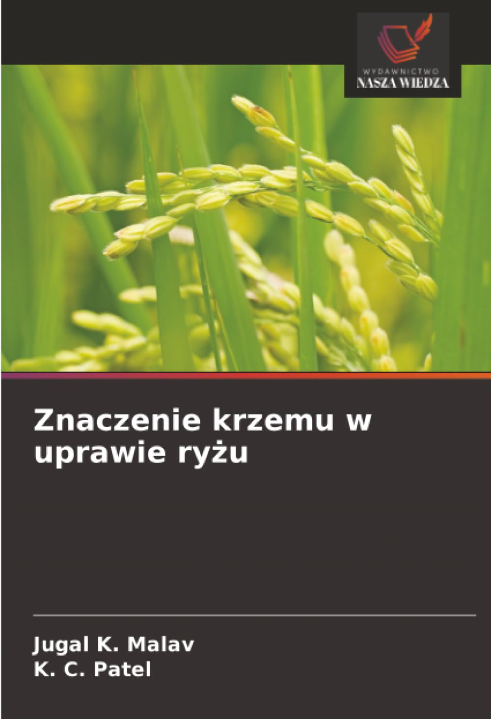 Znaczenie krzemu w uprawie ry¿u