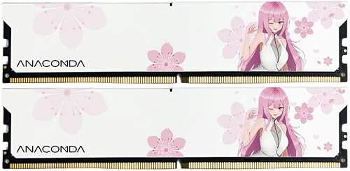 ANACOMDA Girl ANA Kingsnake DDR5 RAM 32 GB (2 x 16 GB) 6400 MHz CL36 288 pines memoria de escritorio con disipador de calor, fabricado en Taiwán