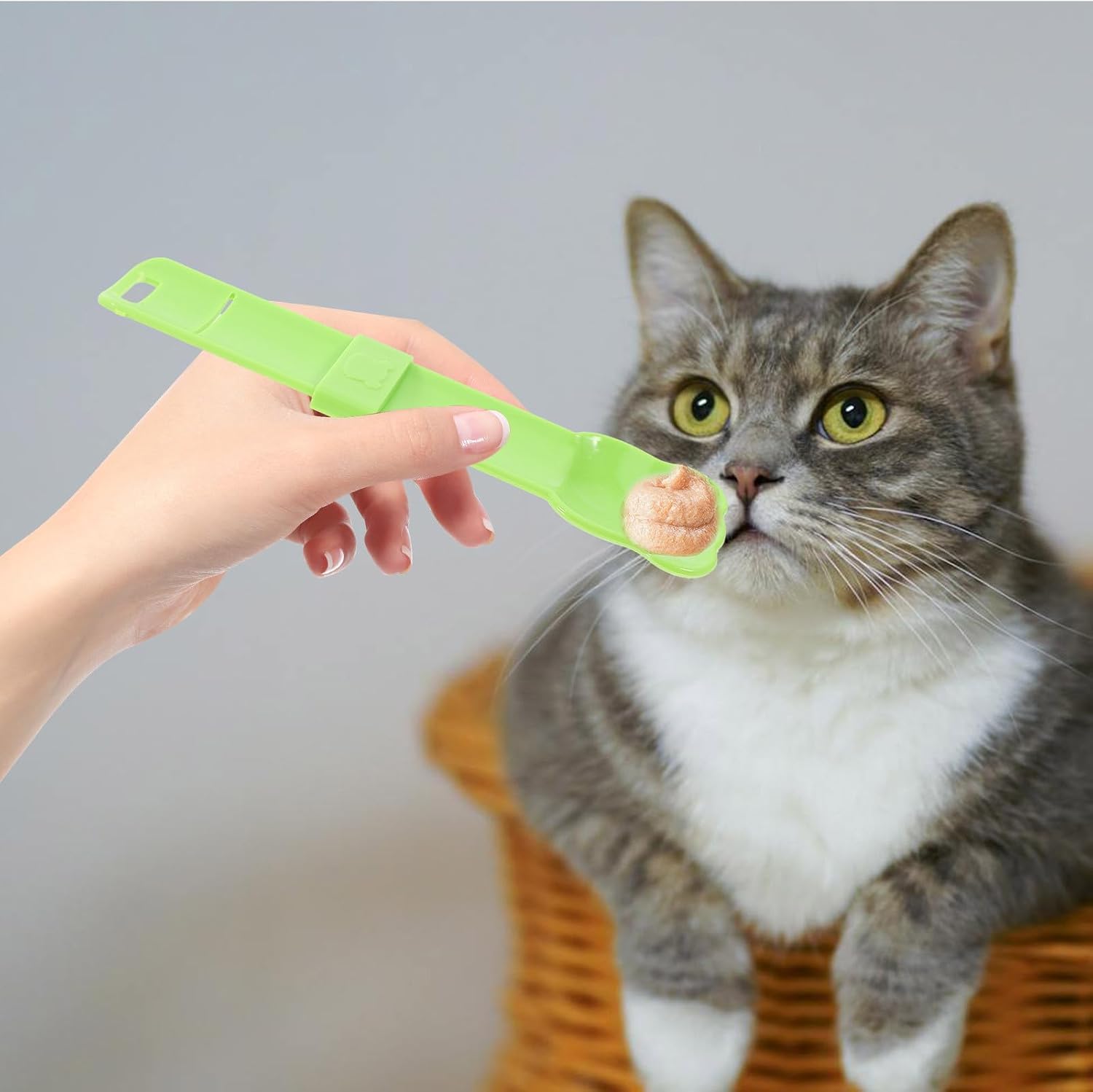 3pcs Cat Strip Feeder Spoon Multi-Function Squeeze Spoon Abs | Easy Cleaning, Convenient Feeding Design, Daily Use for Snacks, Pet Food Spatula for Cats