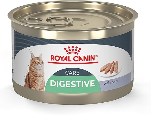Royal Canin Feline Care Nutrition - Pan de cuidado digestivo en salsa en lata para gatos, lata de 5.1 onzas (24 unidades)