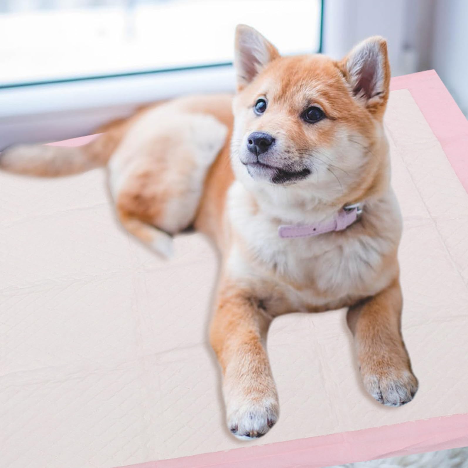 Tappetini Igienici per Cani 40 Pezzi Rosa Non Tessuto | Larghezza 60cm X 60cm, per Cuccioli e Cani Anziani, Uso in Hotel o Gabbia