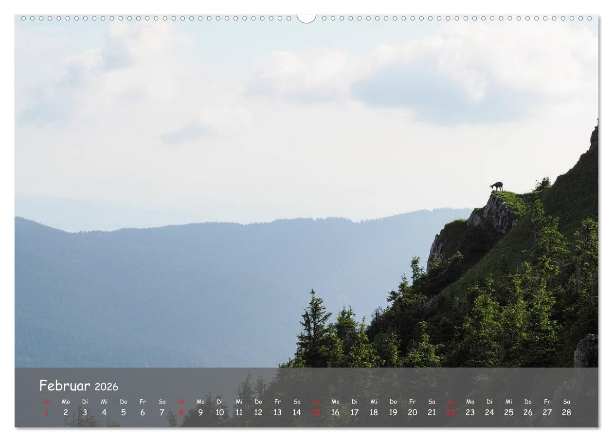 Ammergauer Alpen (hochwertiger Premium Wandkalender 2026 DIN A2 quer), Kunstdruck in Hochglanz: Einblick in den Naturpark Ammergauer Alpen Wandkalender (CALVENDO Orte)