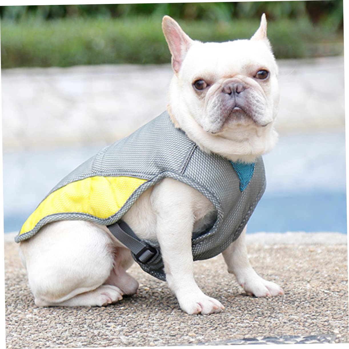 SUPVOX 3pièces Gilet Rafraîchissant pour Chien Veste Reflechissante Été s Gilet De Refroidissement Respirant pour Animaux De Compagnie