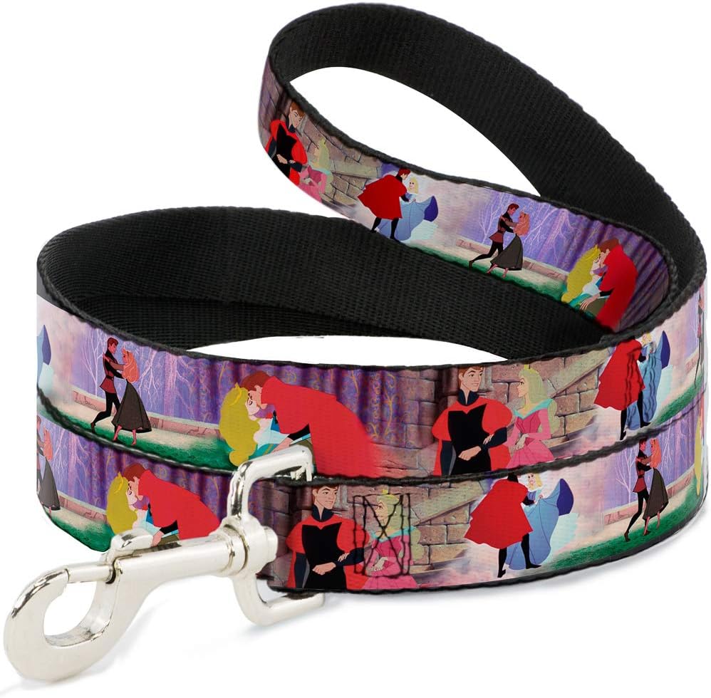 Buckle-Down Pet Leash - Sleeping Beauty & Prince Scenes - 6 Feet Long - 1.5" Wide