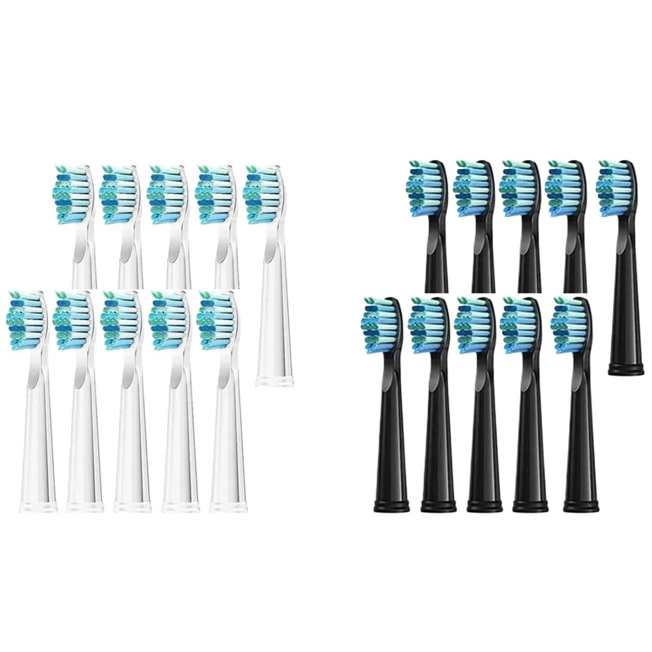 Testine spazzolino, compatibile con Seago, SG-575 SG-507B SG-508