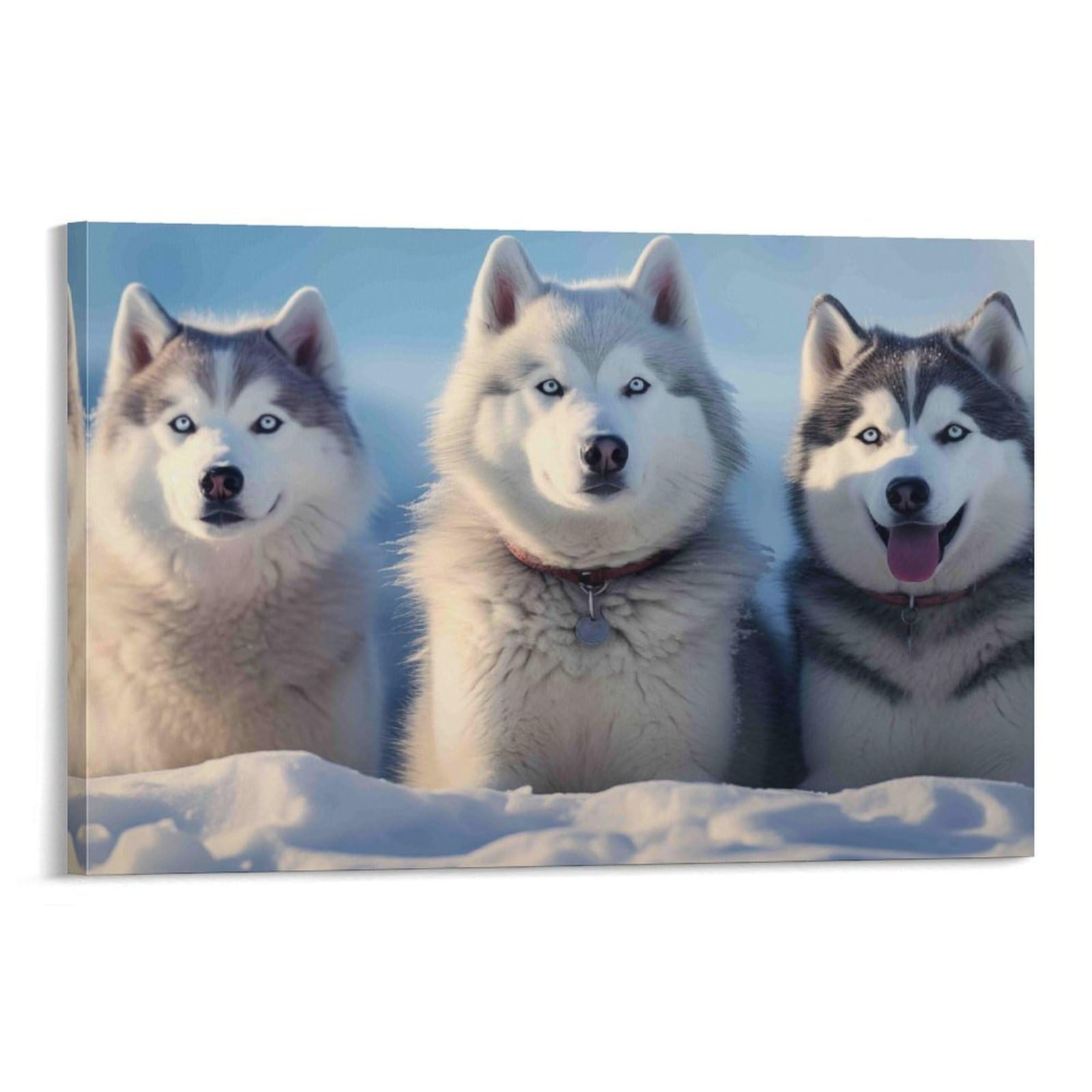 CPLVKWRQJ Siberian Husky Trio Individual Three Huskies Posing Above Snowy Ground Canvas Print - Office Wall Art Fade Resistant Statement Piece Ready to Hang 20x30inch(50x75cm)