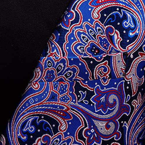 Image of Barry.Wang Blazer for Men Paisley Sport Coat Lightweight Suit Jacket Regular Tuxedo Flower Mardi Gras Carnival Gift