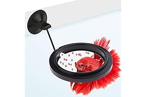 SunGrow Betta Toy For Small Tank + Slow Feed Food Ring