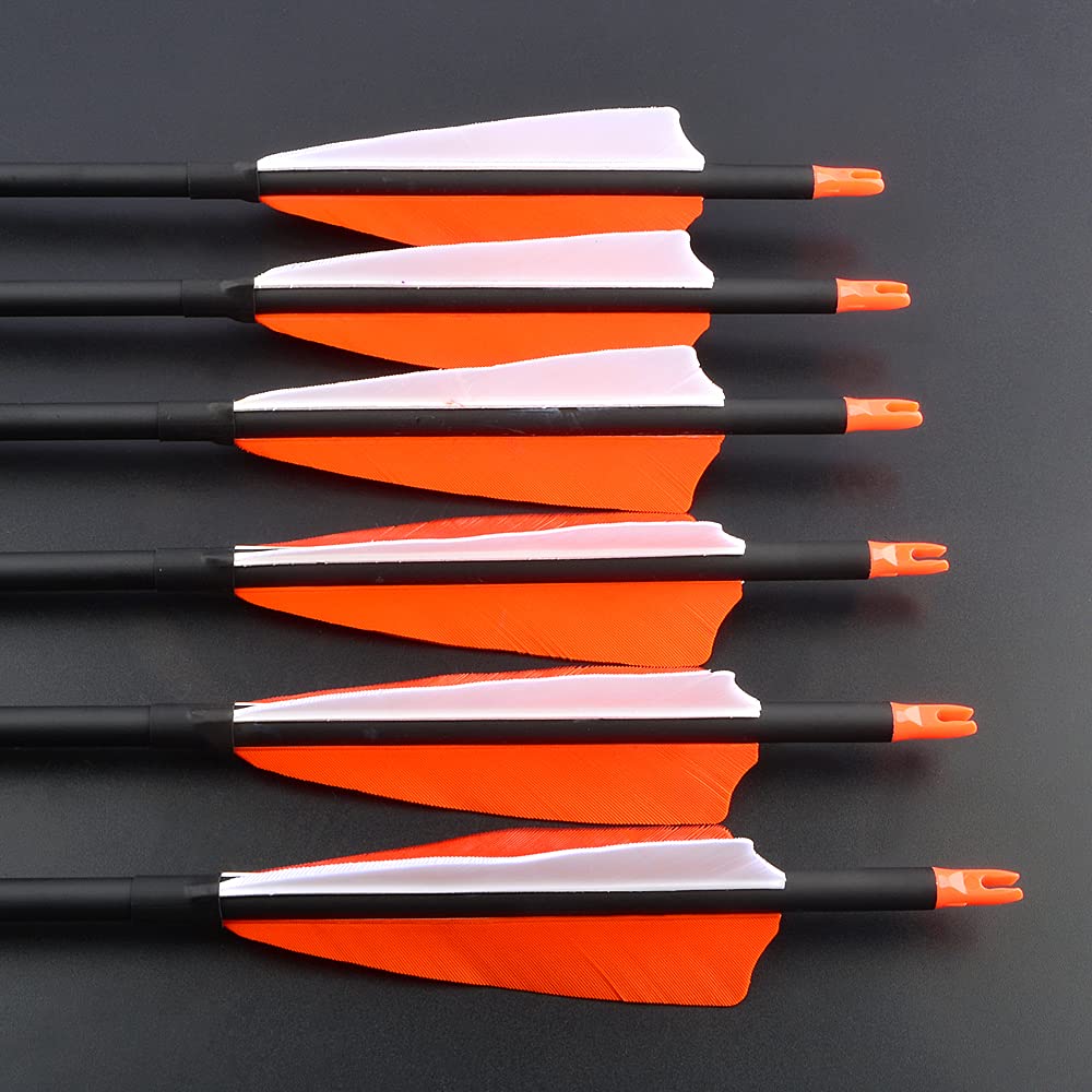 wolfman 12 Stück 30 Zoll Carbon-Pfeile, Innen-Durchmesser 6,2 mm, Geradheit +/-0,006 Zoll, Spine 500, inkl. 6 Pfeilspitzen für Jagd im Freien und Zielschießübungen