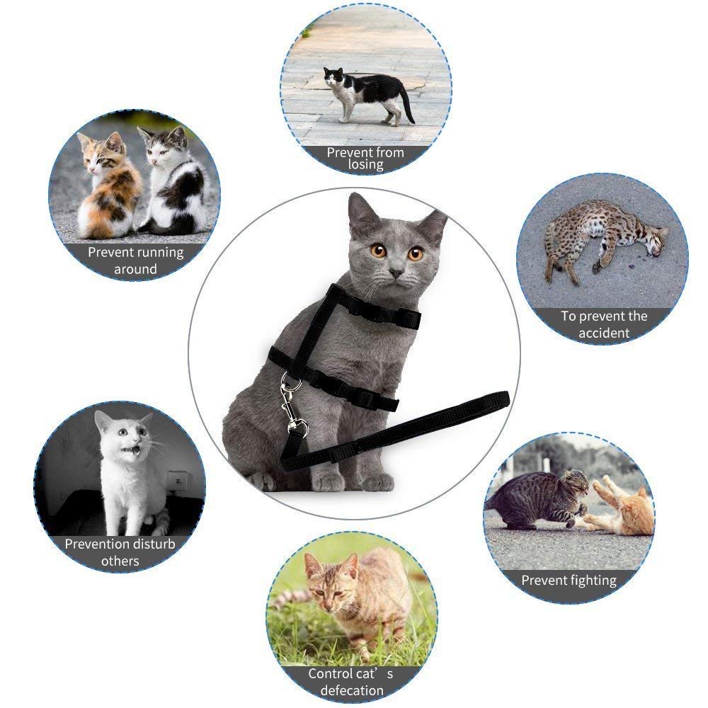 PSK Cat and Small Pet Nylon Strap Collar with Adjustable Walking Harness Leash (Black) 4