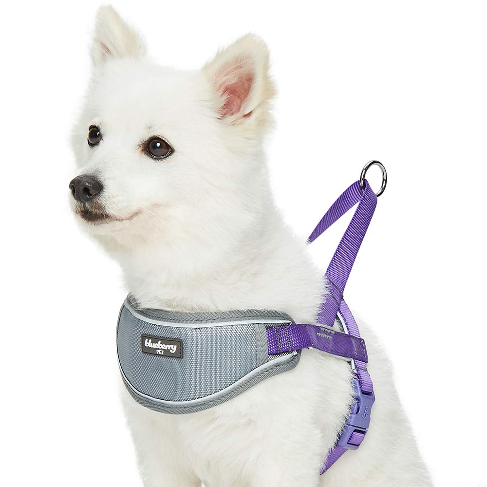 Blueberry Pet Comfy 3M Harnais rembourré avec bandes réfléchissantes pour chien, tour de poitrine 42 cm-54 cm, violet, taille S, harnais de dressage réglable en nylon pour chiens