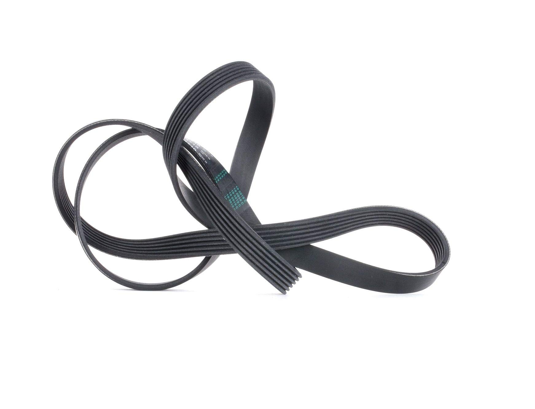 CONTINENTAL 6PK1710 V-Ribbed Belt Fits Citroen C4 C5 Fiat Infiniti Opel Peugeot