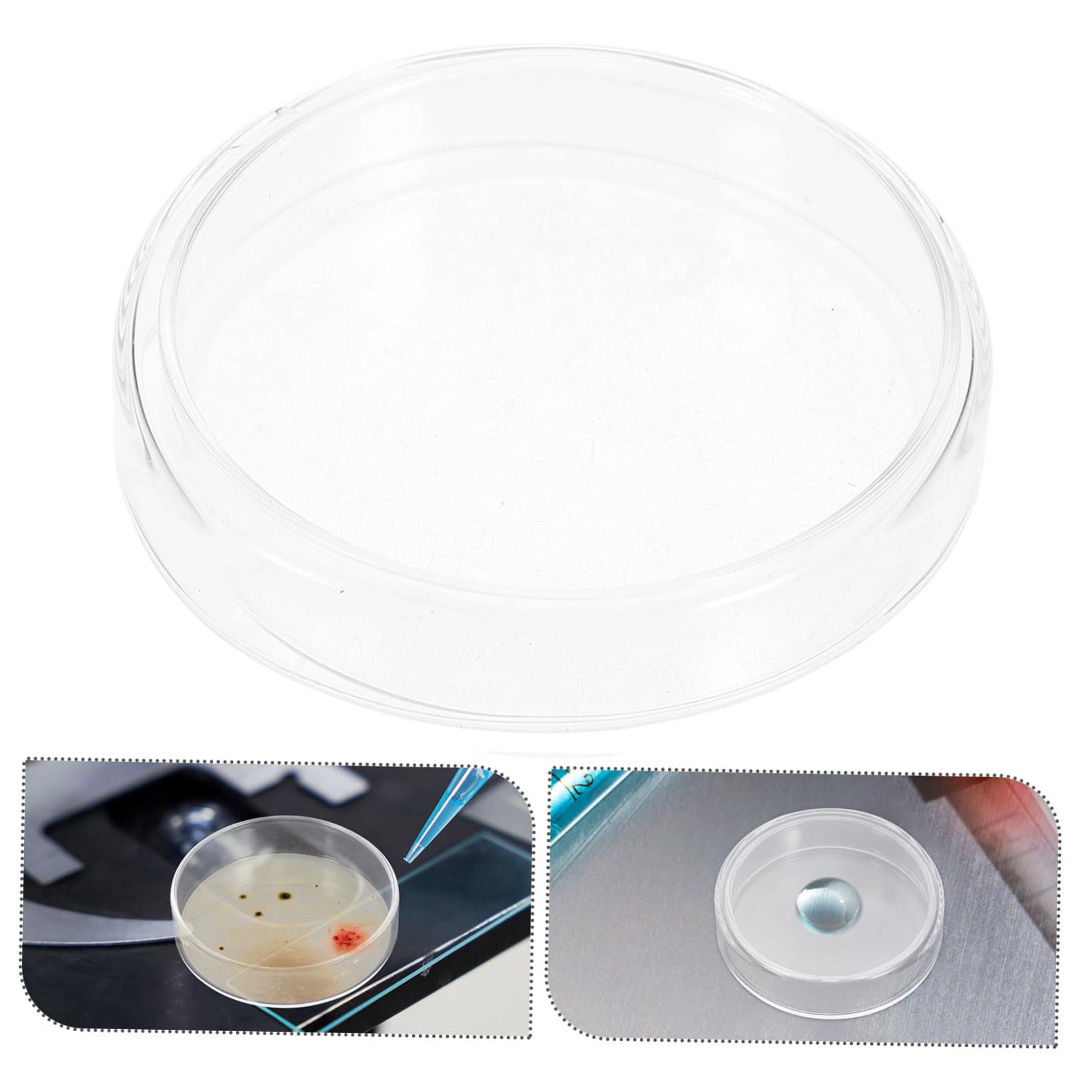 NOLITOY 10stücke Labor Petrischalen aus Glas Sterile Kulturschalen mit Deckel für Mikrobiologische Experimente Wachstum von Zellen und Verwendung als Werkzeug und Zubehör für Laborausrüstu