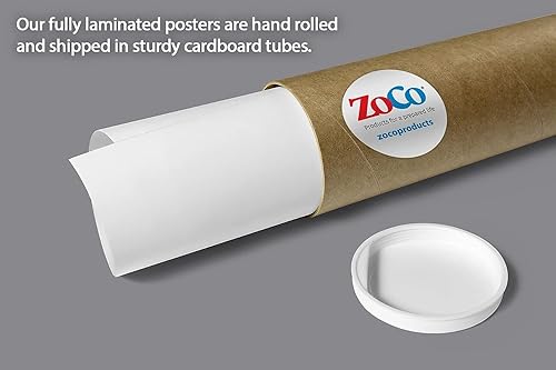 Miniatura 7 de Carteles de prevención de la gripe (paquete de 20)  laminados, 12 x 18 pulgadas  Gráfico de gripe vs resfriado  Decoración de oficina de enfermeras