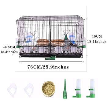 Amazon.co.jp: 2羽の鳥のための黒い鉄の鳥のケージ