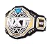 NXT Championship Belt, NXT World Heavyweight Wrestling Belt - Replica Title Adult size Heavyweight Championship TITLE