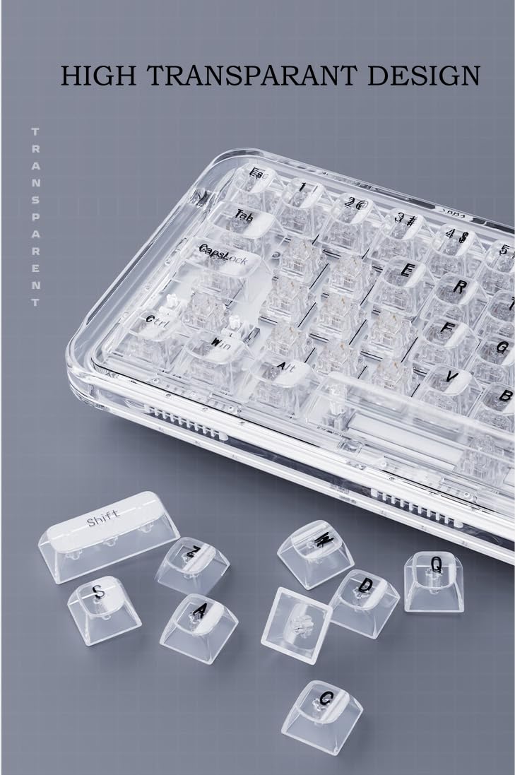 FIRSTBLOOD ONLY GAME. B67 67 Keys Acrylic Transparent Triple Modes