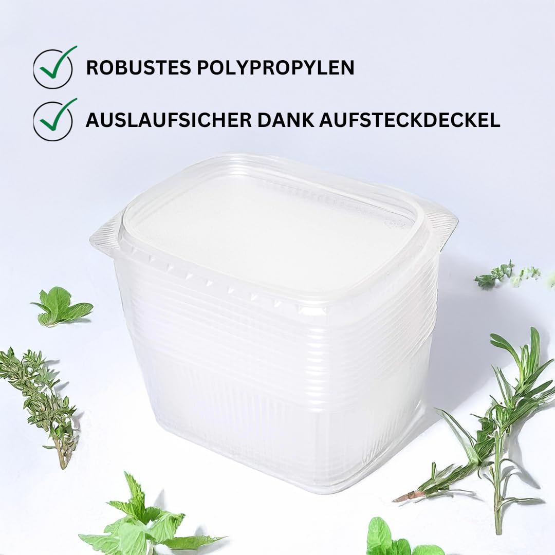 Enpack 250 Stück Feinkostbecher mit Deckel 250 ml - Transparente, eckige Einwegschalen (PP) 11,4x8,69x5,1 cm - Frischhaltedosen, Salatbox, Snackbox, Dipschalen & Einwegbecher - luftdichte Vorratsdosen