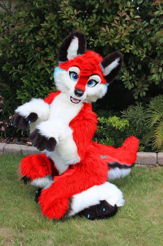 Red Cute Husky Cat Fursuit Fullsuit Costumes Full Furry Suit Furries  Costume Anime CUSTOM FOR Adult