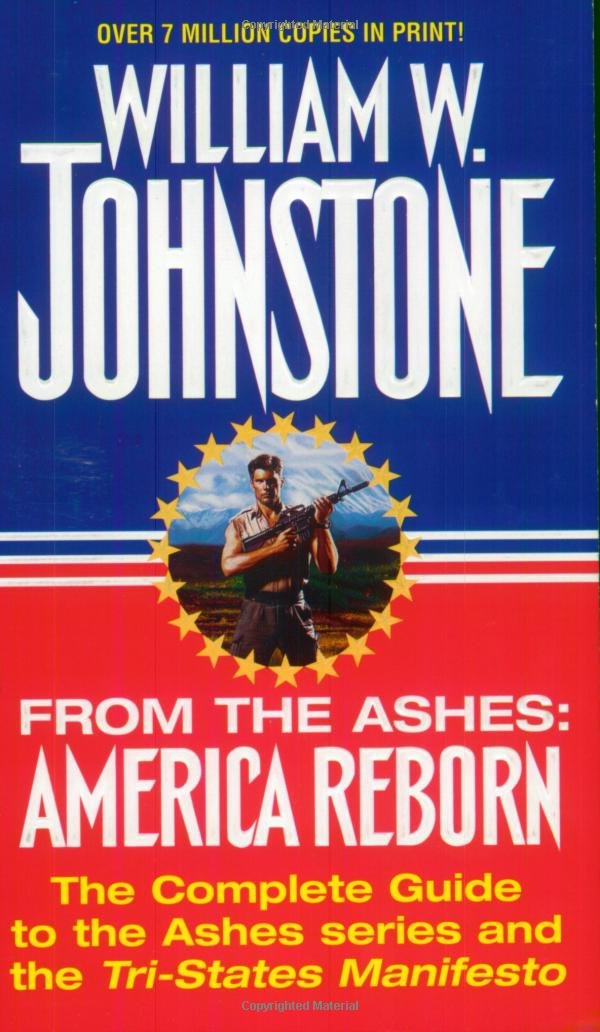 Buy From The Ashes: America Reborn — BookShops.in