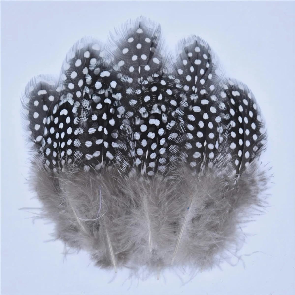 50 Piume Naturali Per Artigianato - Fagiano, Pavone O Struzzo Per Decorazioni E Costumi - Foto 6