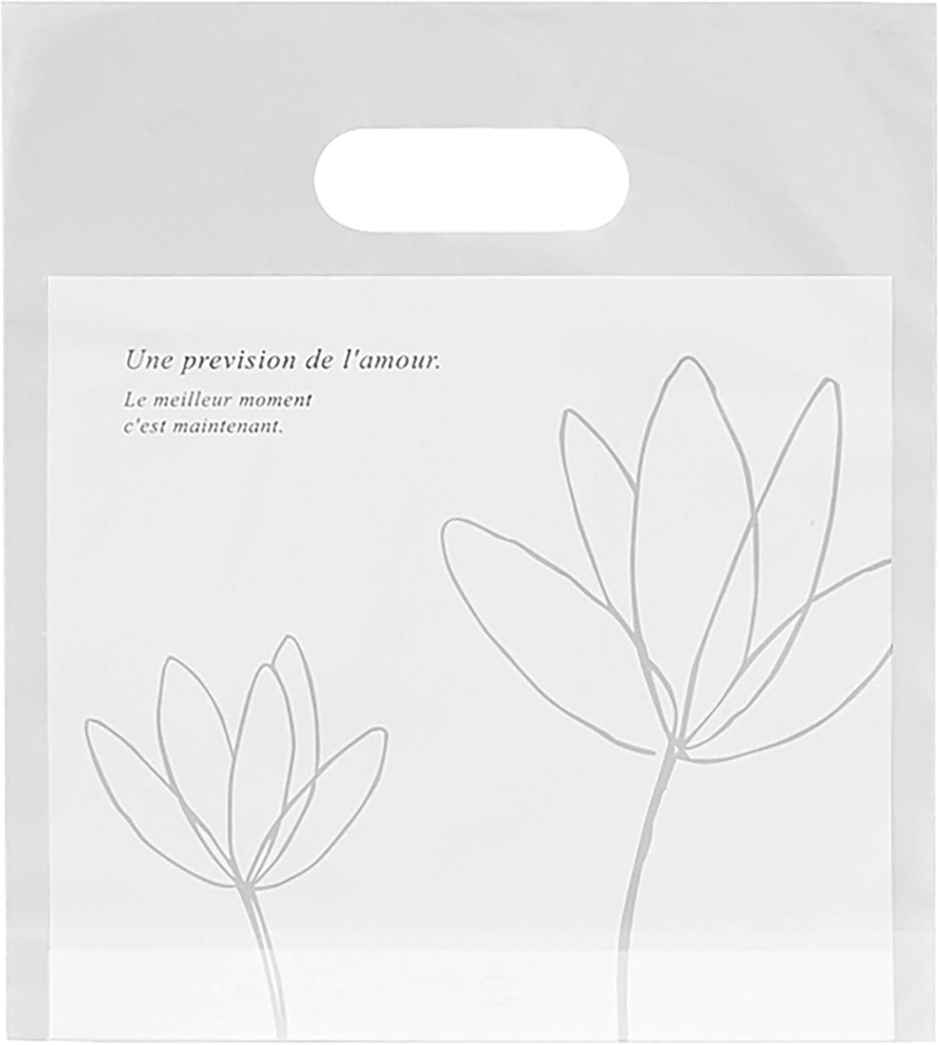 ヘッズ(Heads) 手提げ袋 小判抜き エレガントPEギフトバッグ 半透明 W180×D40×H200mm SS 底マチ 両面同デザイン 100枚 HEADS EG-6