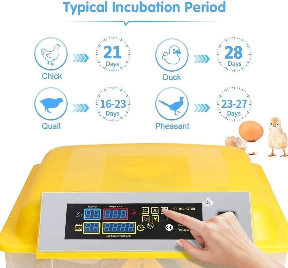 Inkubator na 46 jaj Inkubator do drobiu z cyfrowym ekranem LED W pełni automatyczny wylęgarnia z kontrolą temperatury dla wszystkich drobiu i kurczaków Jaja przepiórcze gołębie