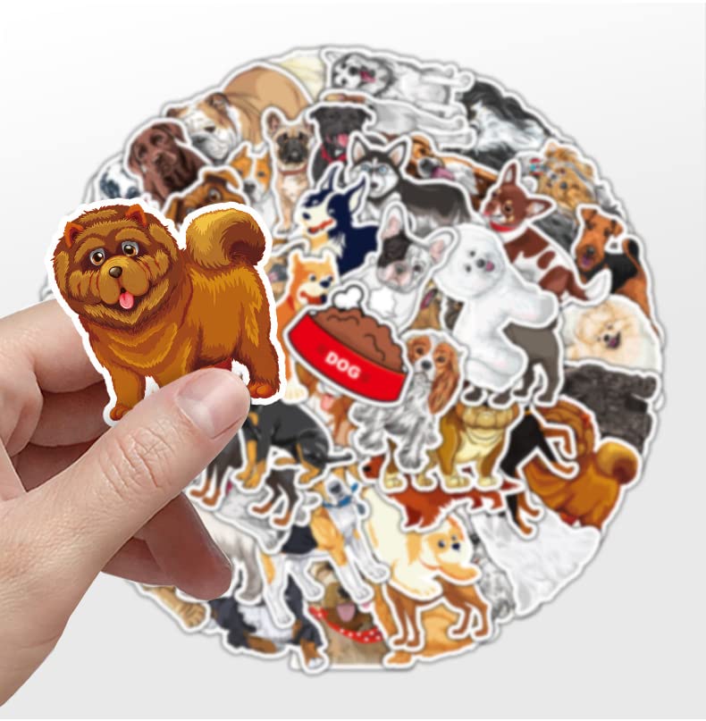 100 Pezzi Adesivi Divertenti in Vinile Impermeabile, Set di Stickers Misti per Laptop, Casco, Moto e Auto, per Adulti e Adolescenti, Ideale per Decorazione Fai-da-Te e Regalo