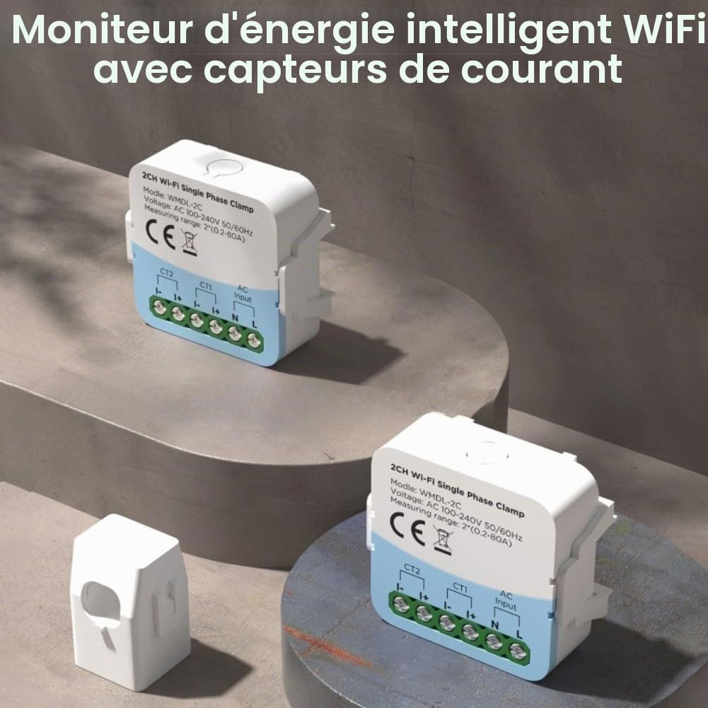 Compteur d'énergie intelligent WiFi, moniteur de consommation électrique bidirectionnel à double canal 80 A pour application Tuya pour des données détaillées d'utilisation horaire à annuelle