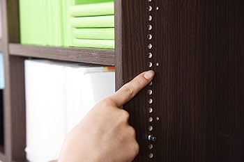 Amazon｜JKプラン MEMORIA 棚板が1cmピッチで可動する 深型扉付