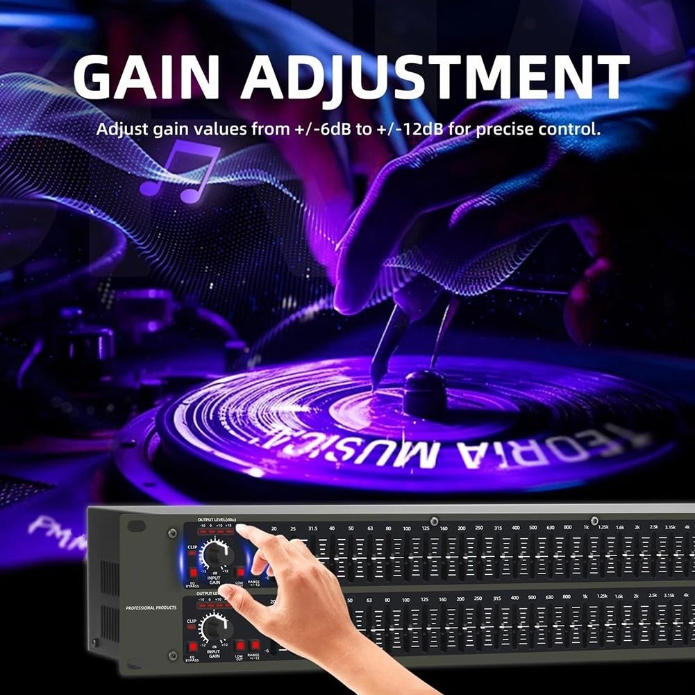 Equalizzatore grafico a 31 bande per audio domestico e applicazioni DJ professionali, doppio canale, regolazione ± 12 dB per band, interruttore low-cut, connettori XLR e TRS, 480 mm