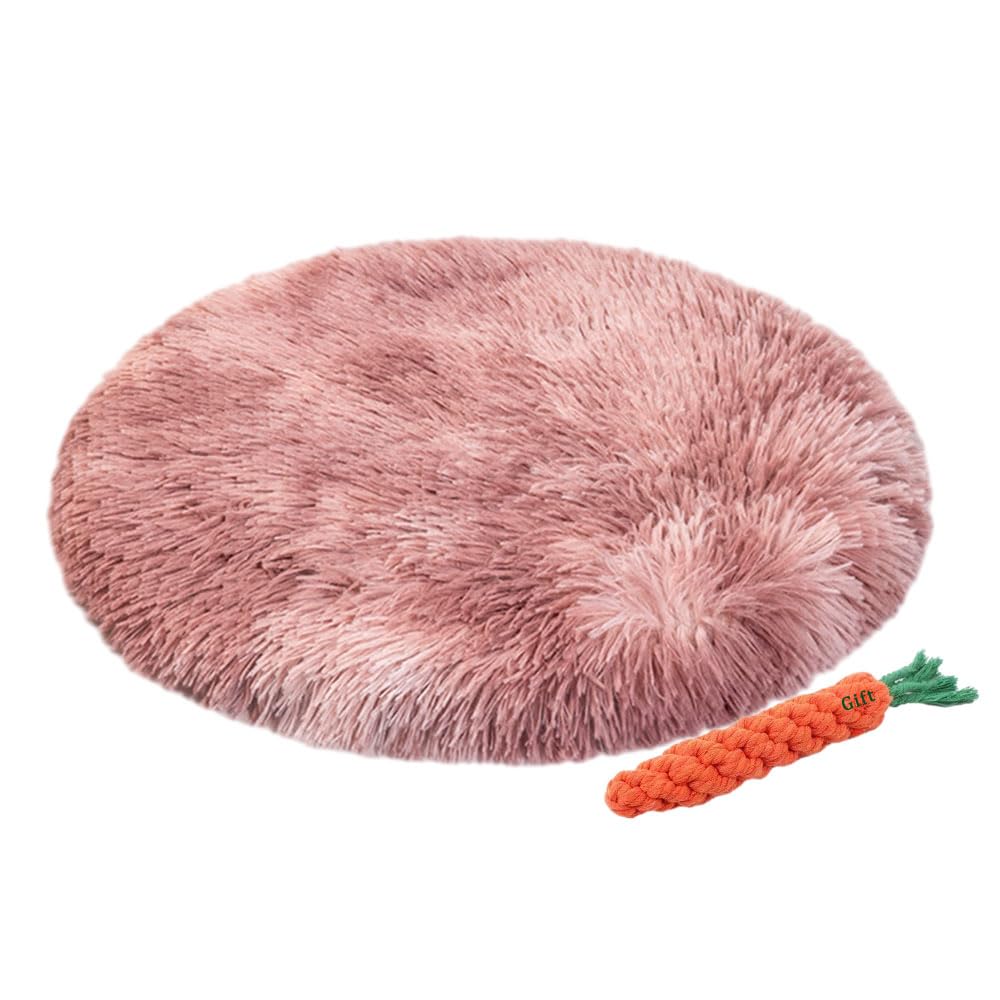 FANSU Soft Dog Bed Mat Cats Beds Pad, Warm Self Heating Pet Pad Gradient Colour Plush Blanket for Puppy Kitten Washable Reversible for Indoor Outdoor Car (L 60x60x3cm,Plum)