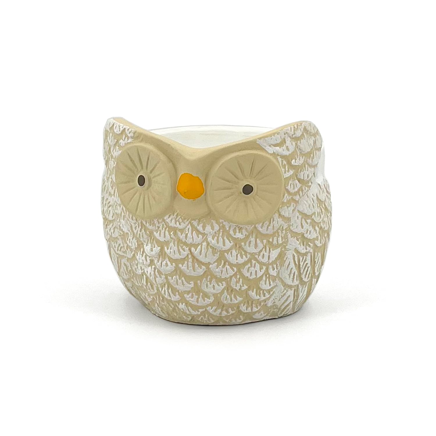Hand-Decorated Owl Terracotta Pot | Diameter 12 cm | Pot Cover for Succulents and Flowers | Orchid Pot | Indoor and Outdoor Home Decoration