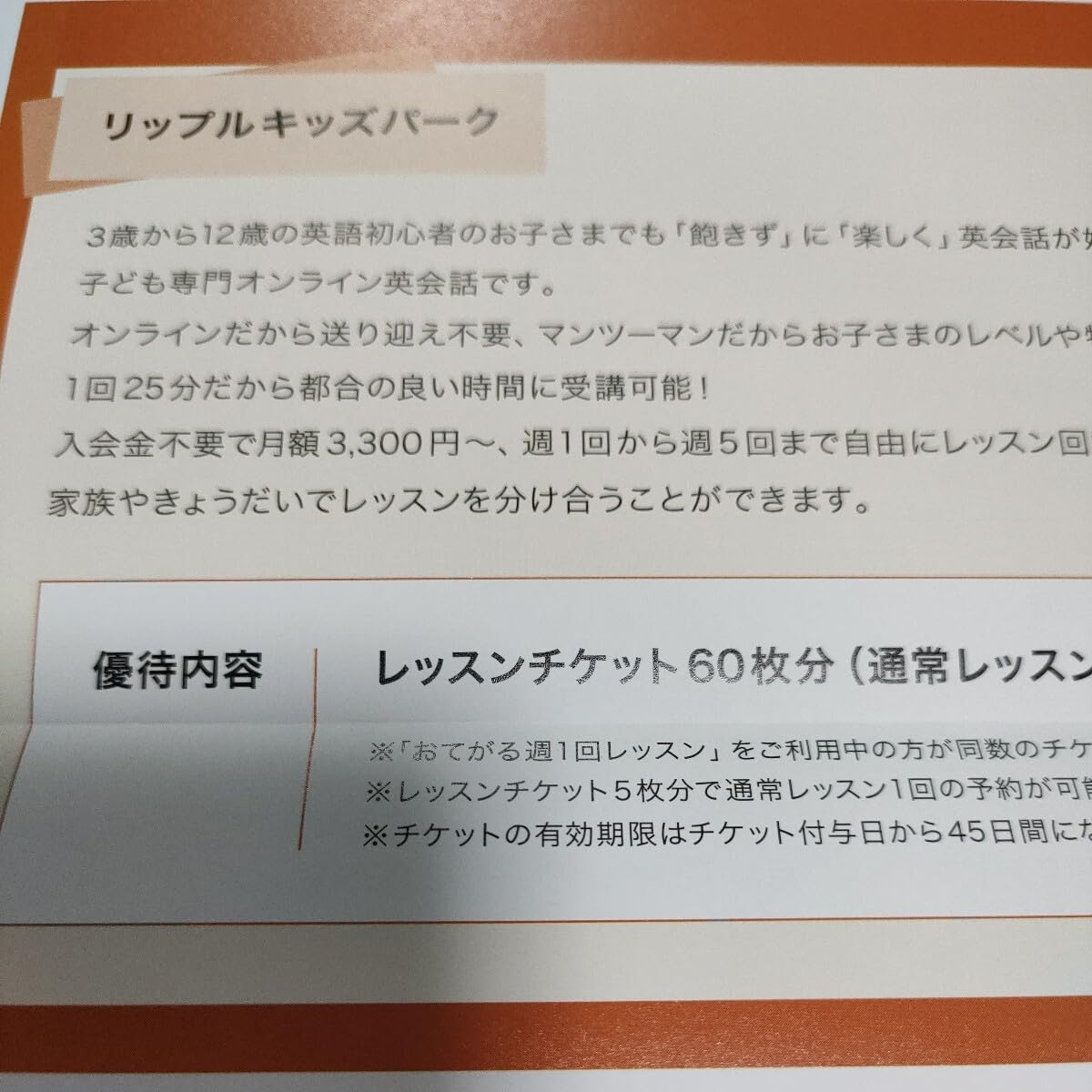 レアジョブ優待 1万円分 リップルキッズパーク