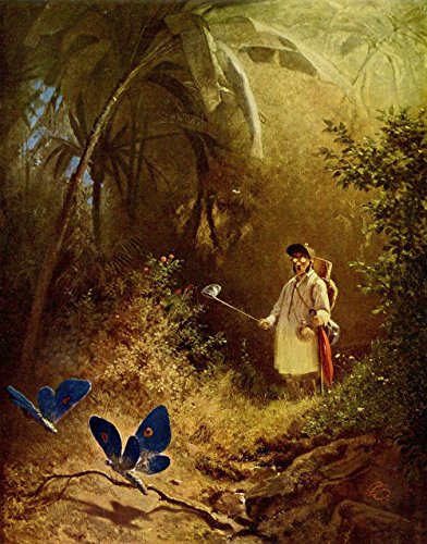Lámina de August Macke Butterflies en tamaño mediano con acabado mate 2