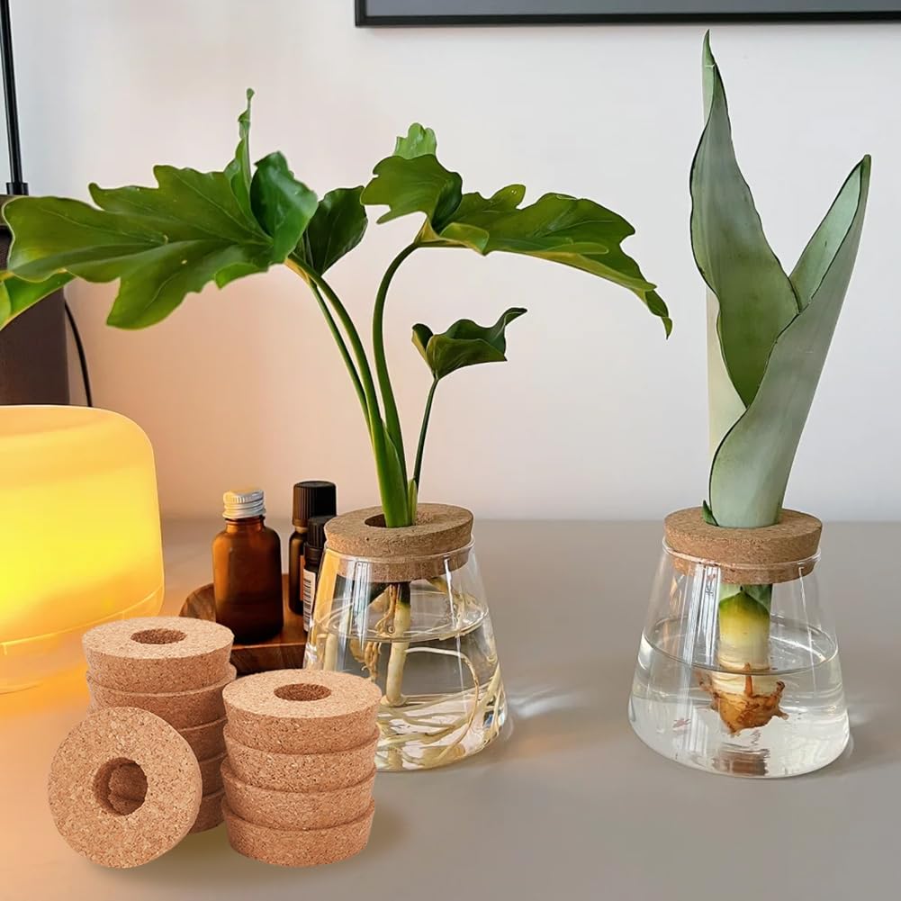 OLYCRAFT 10Pcs Couvercles en Liège pour Jardinière en Verre Bouchons de Plantes 73~80mm Bouchons en Liège à Trou Central pour Plantes Hydroponiques Couvercles pour Vases de Culture Hydroponique