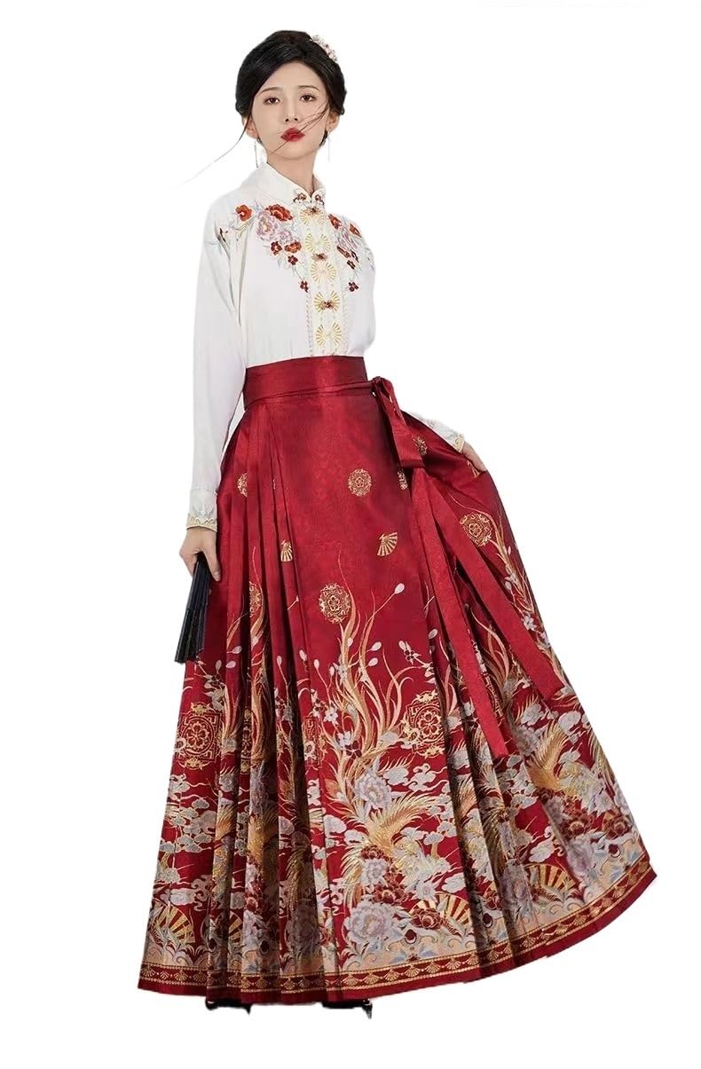 Faswar Unisex Red Chinese Traditional Hanfu Dress,Horse Face Skirt,Women Ming Dynasty Vintage Clothing Pleated Skirt (Color : Size : Xl)