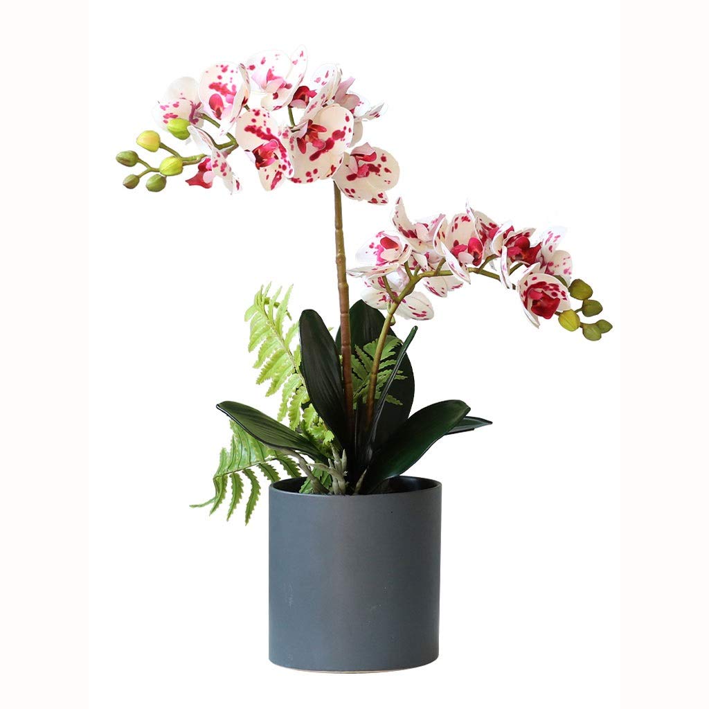Composizione di Fiori Artificiali di Phalaenopsis, Orchidee Artificiali in Vaso, pianta di Fiori Artificiali per Matrimoni, Feste, Decorazioni per la casa, decorazio