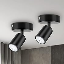 Dehobo Faretti da Soffitto Orientabilie GU10, Faretti da Parete Interno Nero, Lampadario LED Moderna da Soffitto per Corridoio Entrata o Scale, Lampadina GU10 non Inclusa, 2 Pezzi