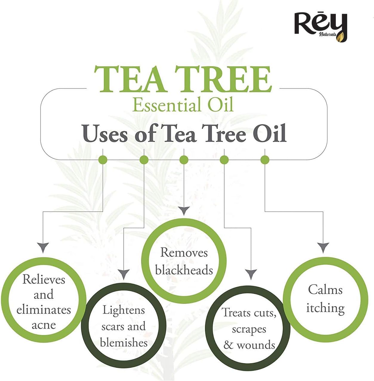 Rey Naturals tea tree oil & Rosemary essential oils - Pure Natural for Healthy Skin, Face, and Hair (15 ml + 15 ml)