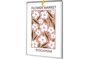 24x36 Plexiglass Picture Frame Silver Aluminum Snap Frame for Front-loading Wall Mounting