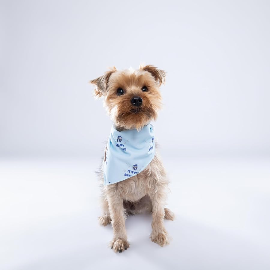 باندانا قطن للحيوانات الأليفة من باو باو بعبارة «It's My Barkday»، أزرق، M